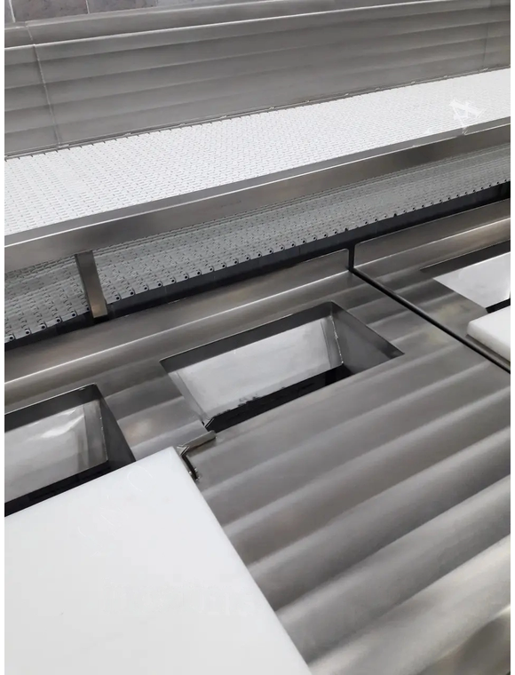 Linie de dezmembrare a carcaselor de curcan cu transportor mecanic thumbnail 3